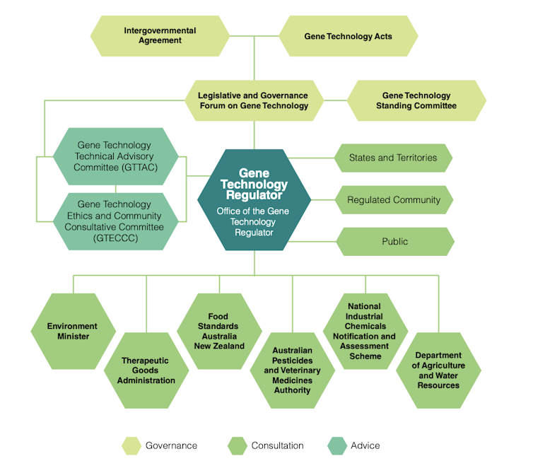 Chart showing how the Office of the Gene Technology Regulator is notified and by whom.